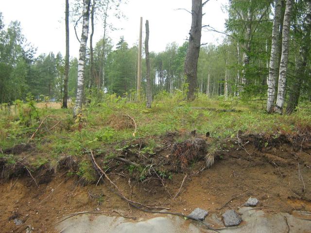 Ленинградская область, Белкино КП