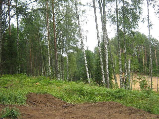 Ленинградская область, Белкино КП