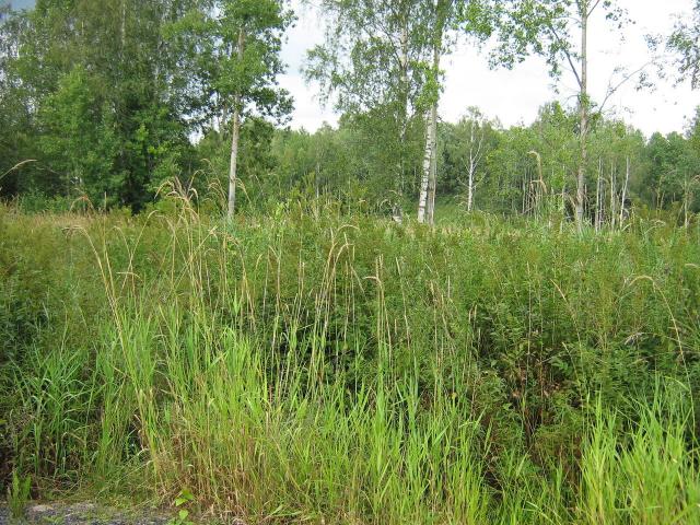 Ленинградская область, Белкино КП