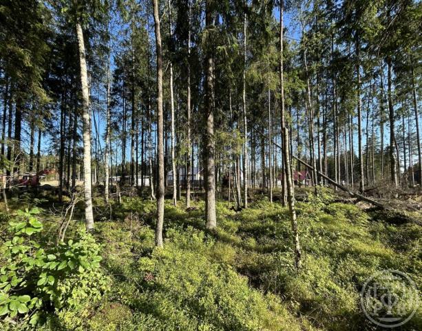 Сертолово г., Медное озеро 3 днп, д 888