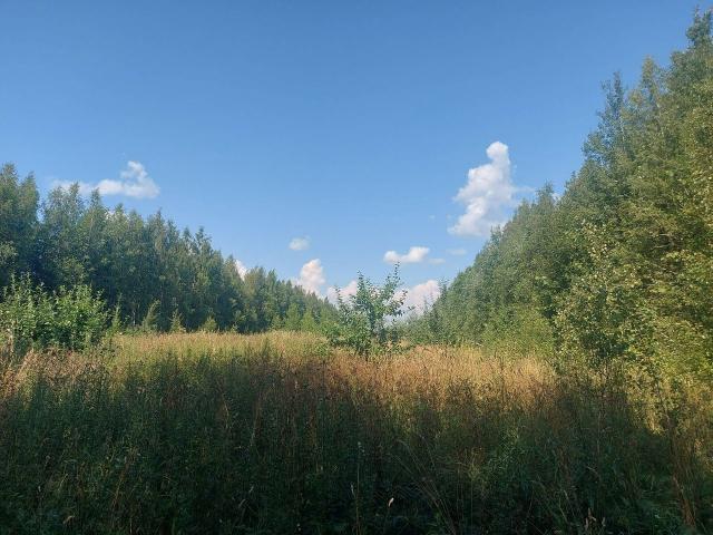 Ленинградская область, Зелёные просторы СНТ