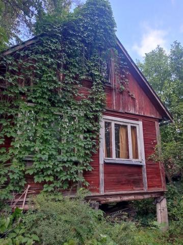 Ленинградская область, Ленфильм СНТ