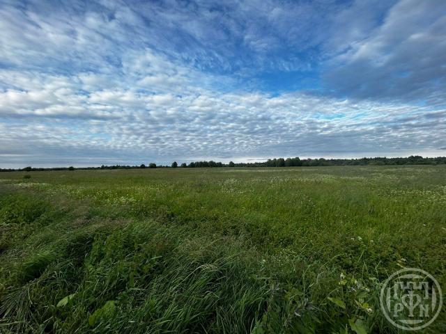 Волхов г., Волхов г.