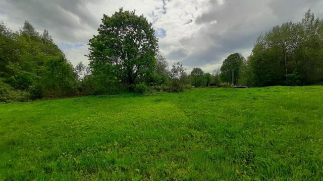 Ленинградская область, Шадырицы дер., 10