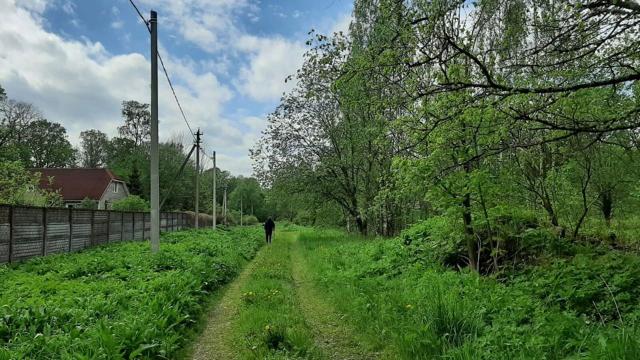 Ленинградская область, Шадырицы дер., 10