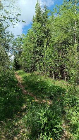 Ленинградская область, Наука СНТ