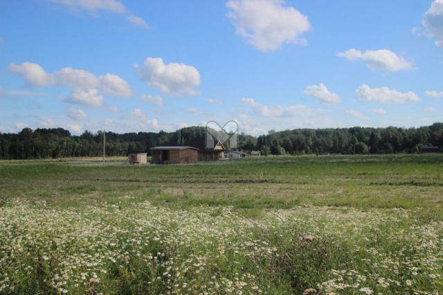 Воронино КП