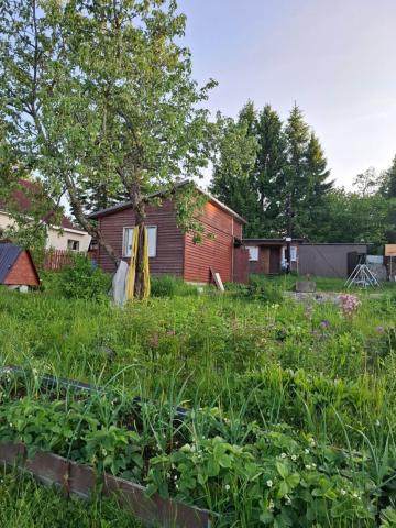 Ленинградская область, Севкабель СНТ, Комсомольская ул., 40