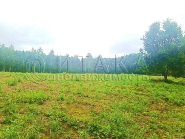 д. Петровское