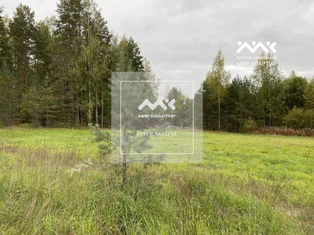 Торфяное п.