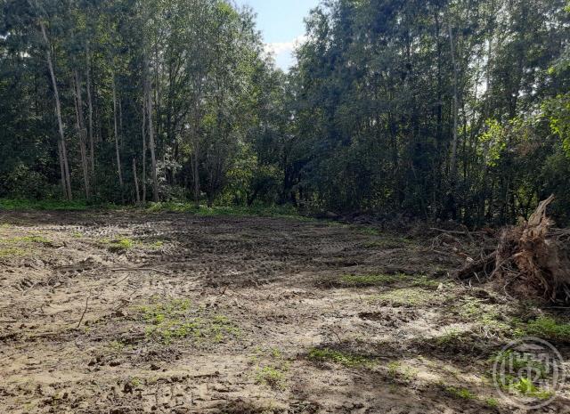 Куйвози дер.