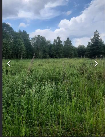 Ленинградская область, Коростель дер.