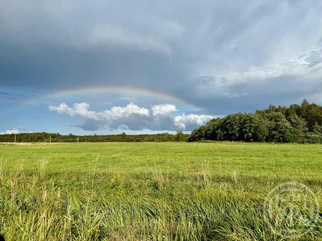 Большое Забородье дер.