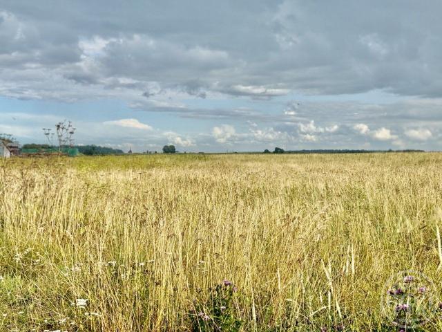 Ильино дер.