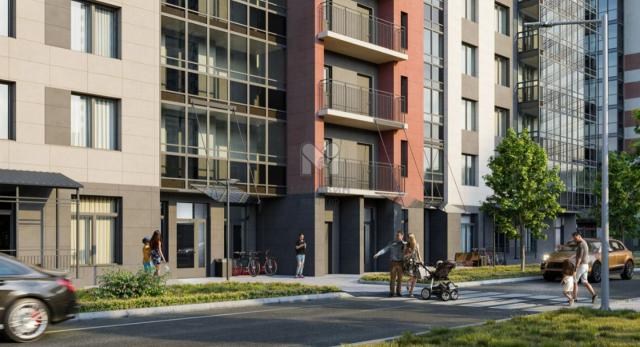 Парголово, Ольгинская дор.