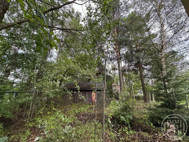 Всеволожск г., Торговый просп., д 29