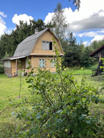 Ленинградская область, Эскалатор СНТ