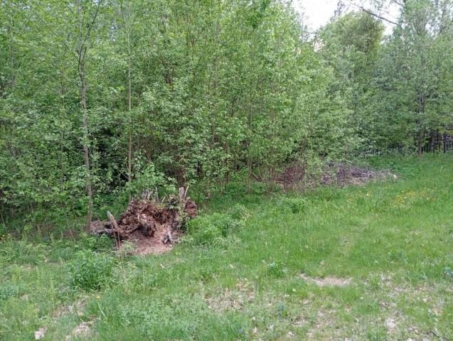 Ленинградская область, Ключи СНТ