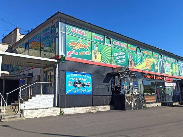 Ветеранов пр., 69