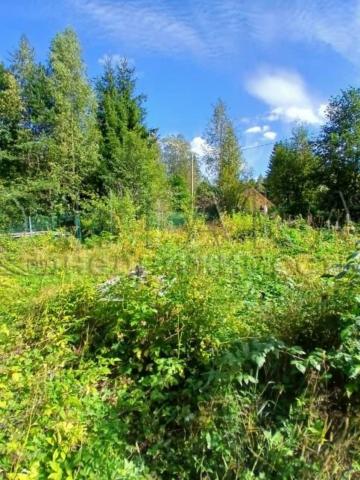 снт. Гранит(п.Гаврилово)