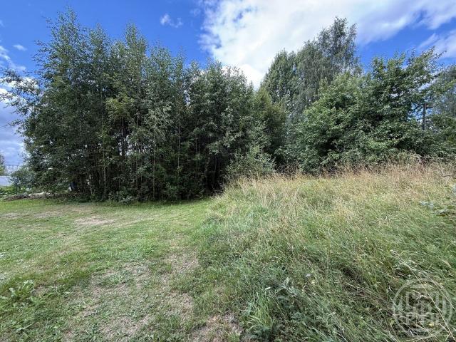 Цвелодубово пос., Зеленая ул.