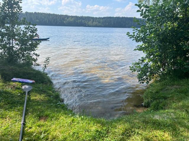 Ленинградская область, Гречухино пос., 9