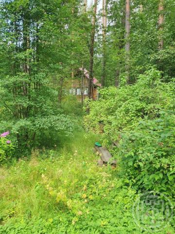 Малышево пос., Центральная ул.