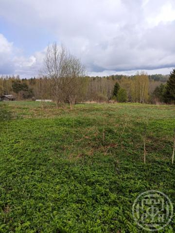 Ветчины дер.