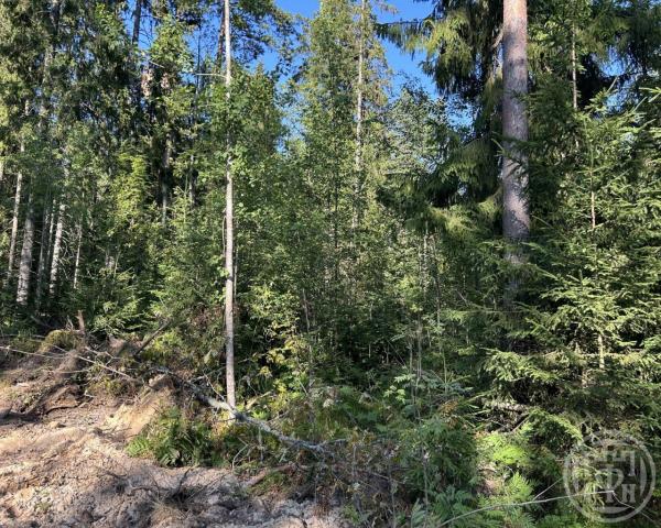 Сертолово г., Медное озеро 3 днп, д 1005