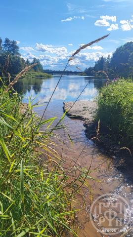 Моя Семья снт