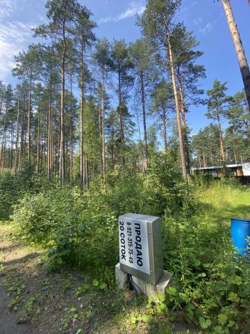 Ленинградская область, Варколово КП, Центральная ул.