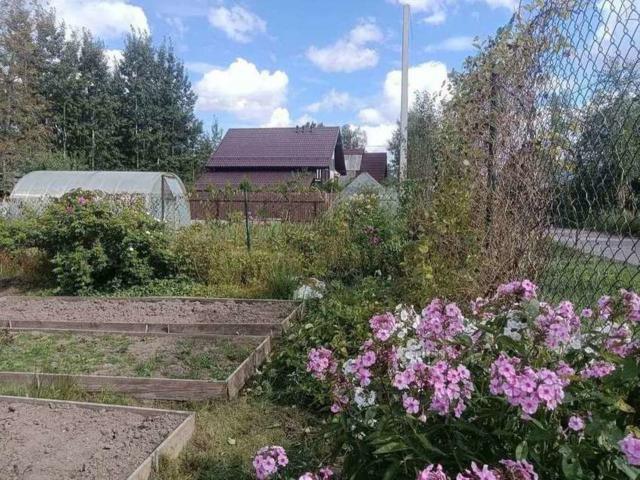 СНТ Новоропшинский территория, 12-я лесная, 31