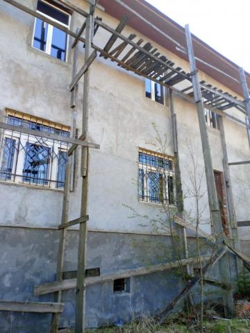 Ленинградская область, Лесное (Щегловское) СНТ, 5-я линия