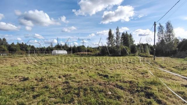 гп. Советский