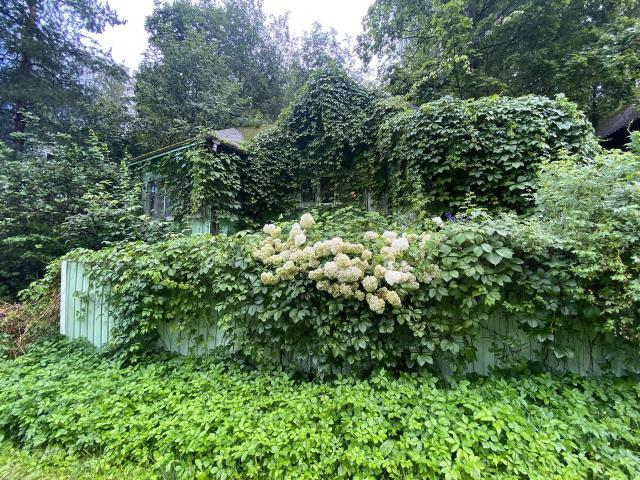 Ленинградская область, Воейково пос., 528