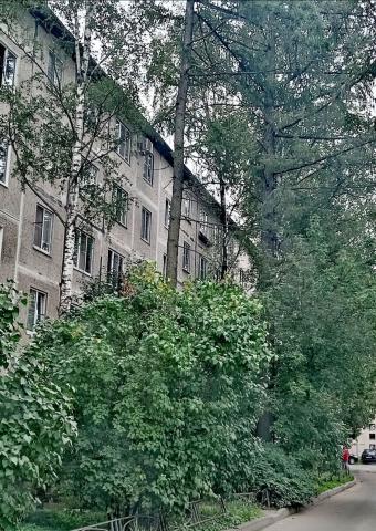 Большевиков пр., 79К3