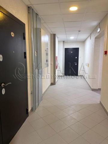 пр-кт. Просвещения, 43