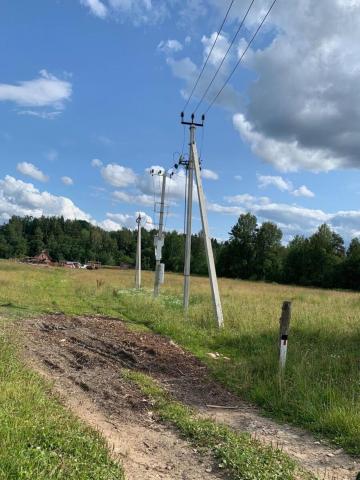 Ленинградская область, Смердыня урочище, 78