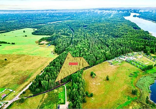 Ленинградская область, Гончаровское сельское поселение, проезд Ямное озеро