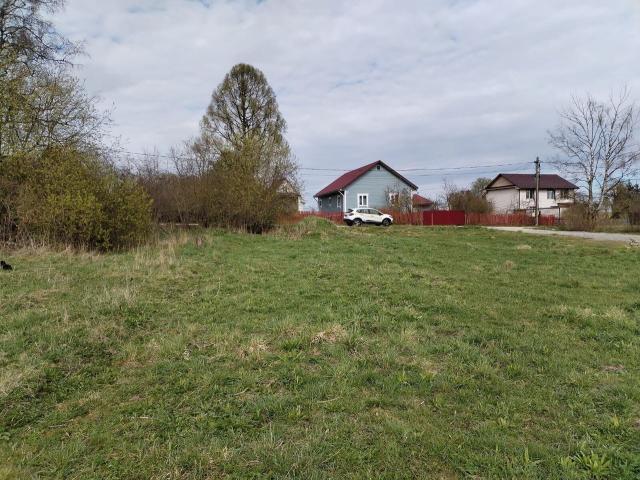 Ленинградская область, Алапурская дер.