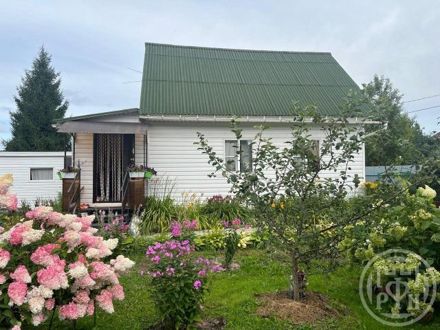 Дунай массив, Русский дизель снт