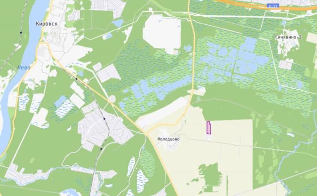 Ленинградская область, Синявино-2