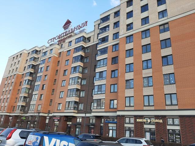 Новоселье городской поселок, Питерский проспект, 1