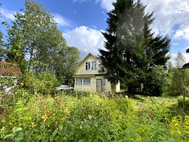 Пупышево массив, 11-я линия