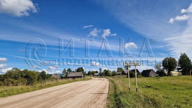 д. Радогощь, 8