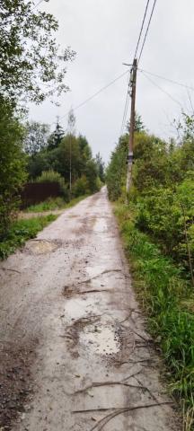 Ленинградская область, Назия массив, Эликсир СНТ