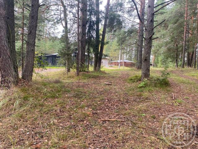 Луга г., Зеленый Бор нп