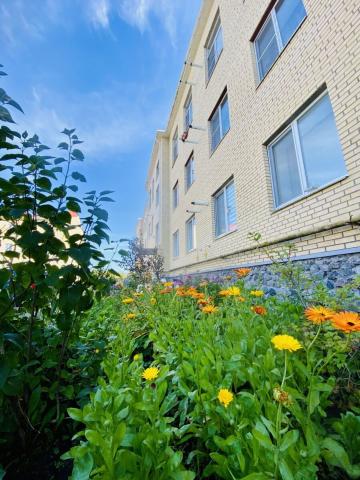 Ленинградская область, Рощино пос., Тракторная ул., 15к2