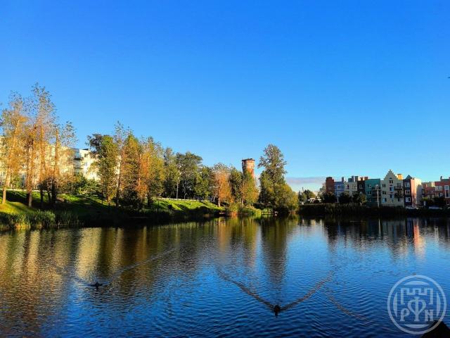 Низино дер., Центральная ул., д. 45