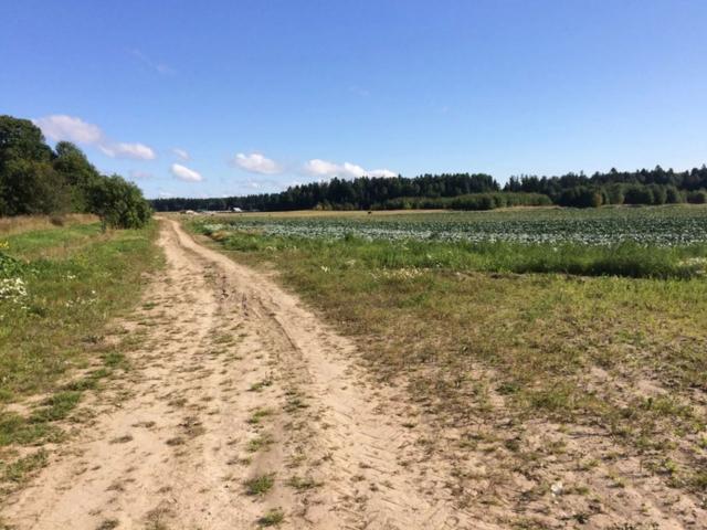 Ленинградская область, Аропаккузи дер.